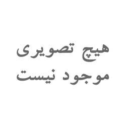 نقطه زن حرفه ای Tanda | مرجع تخصصی فلزیاب کاسیو تک